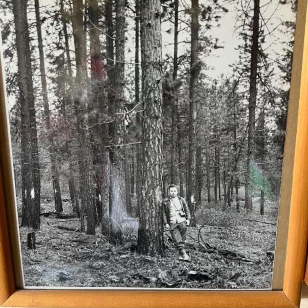 Peter Dinehart