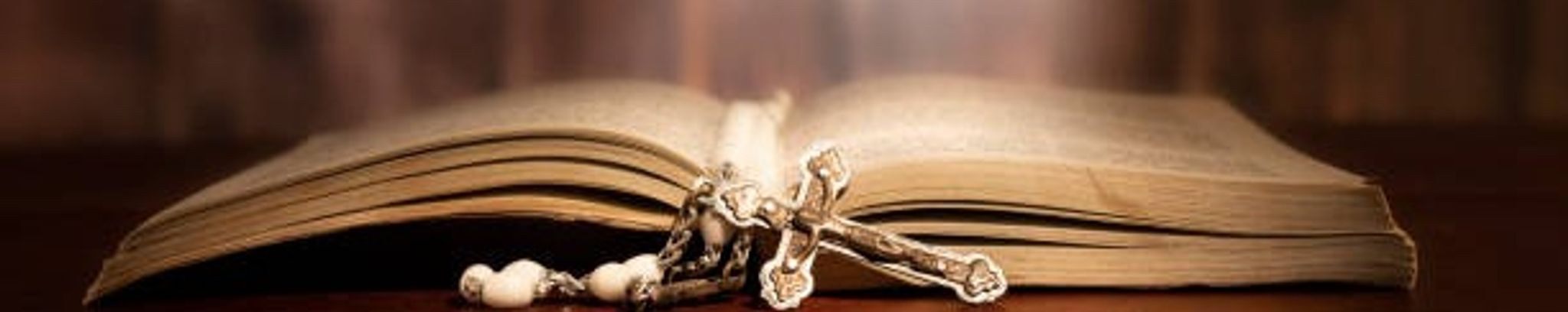Cover photo for Sally Anne Nolan McLaughlin's Obituary