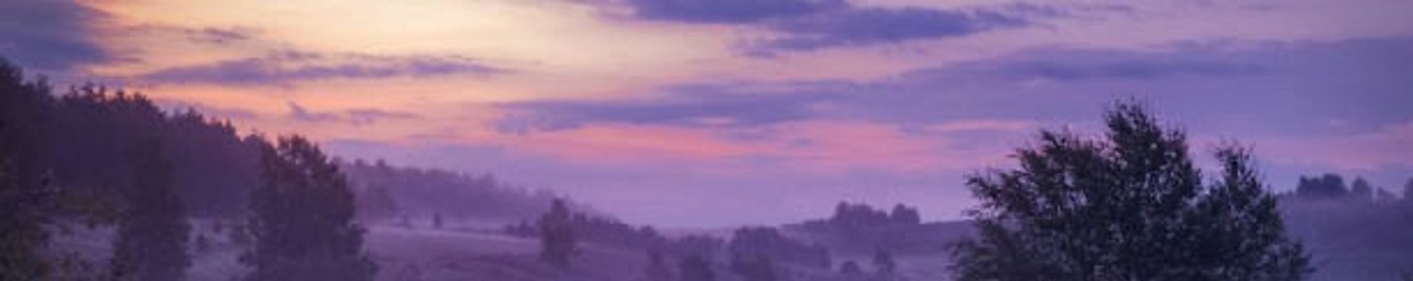 Cover for Lori Squirek's Obituary