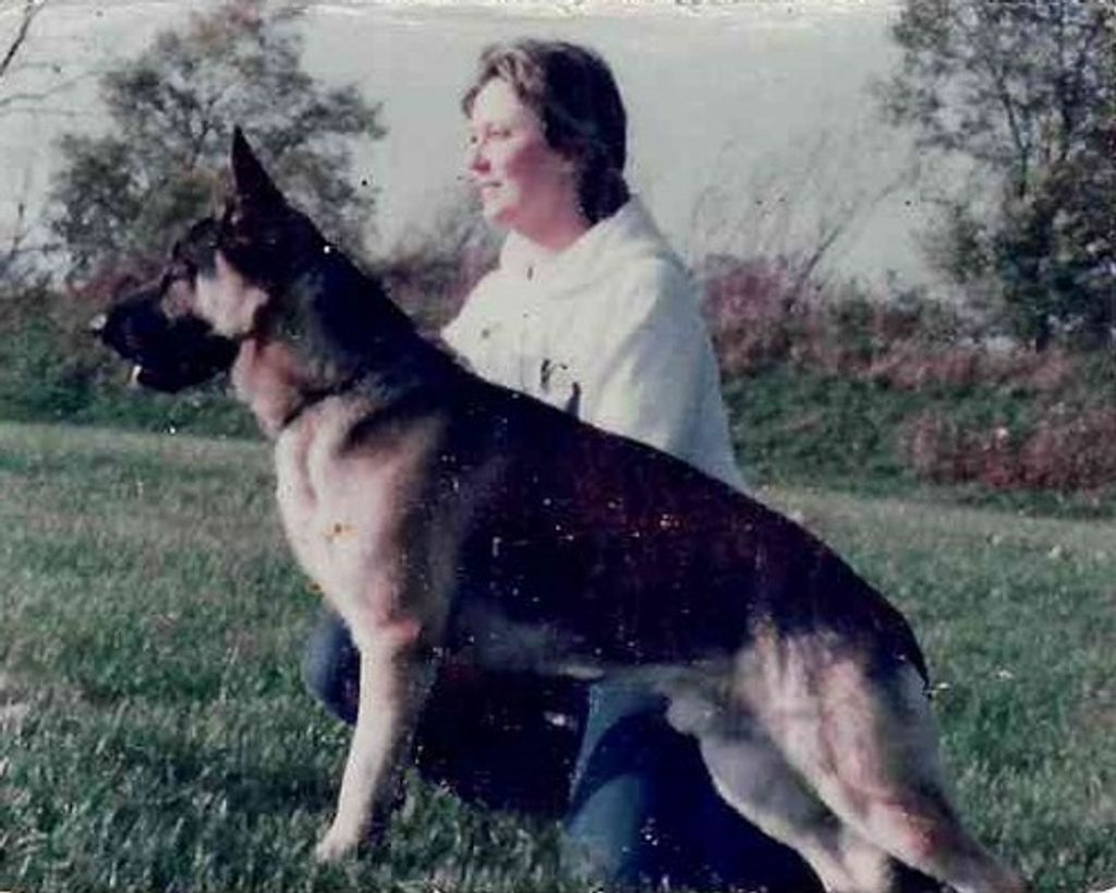 Janet Ann Devich (Nee Kwolek) Profile Photo