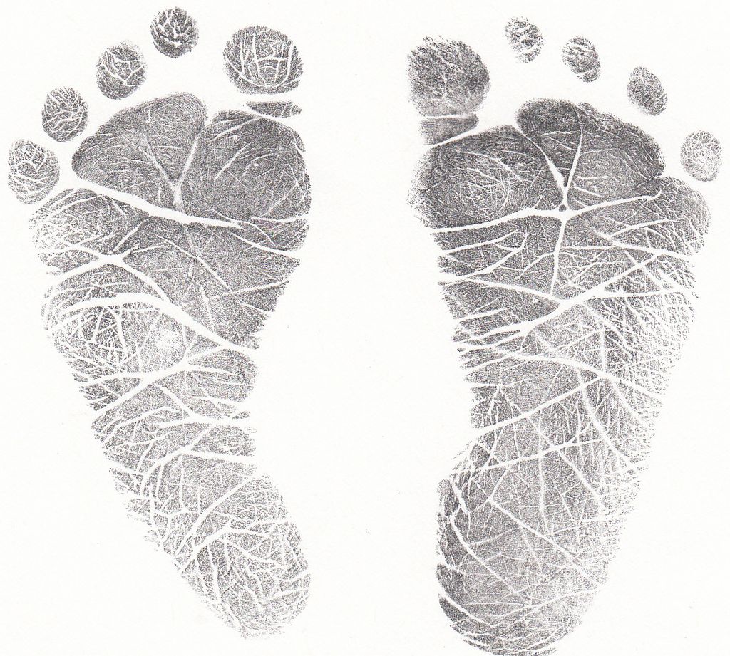 Saverio "Baby Sammy" Perri Jr. Profile Photo