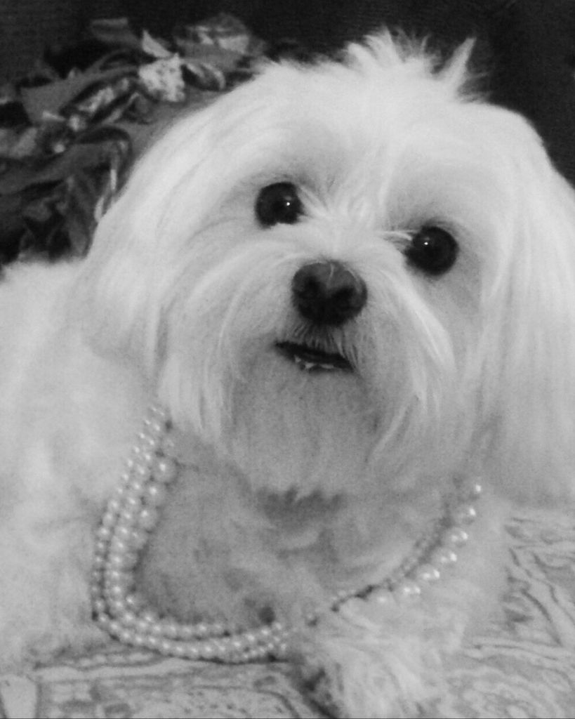 Lucy Kolodziej Profile Photo