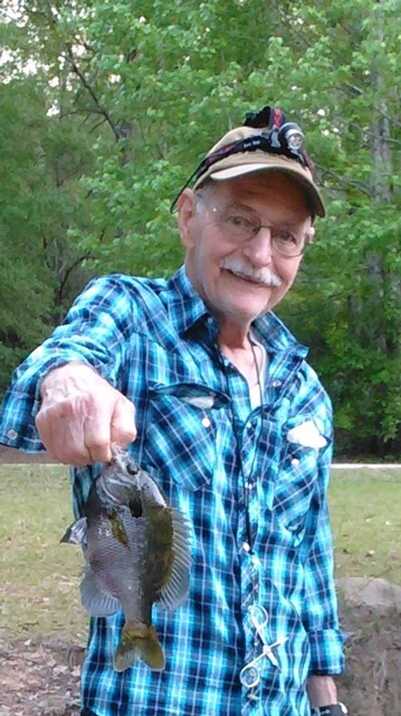 Bill Bailey Profile Photo