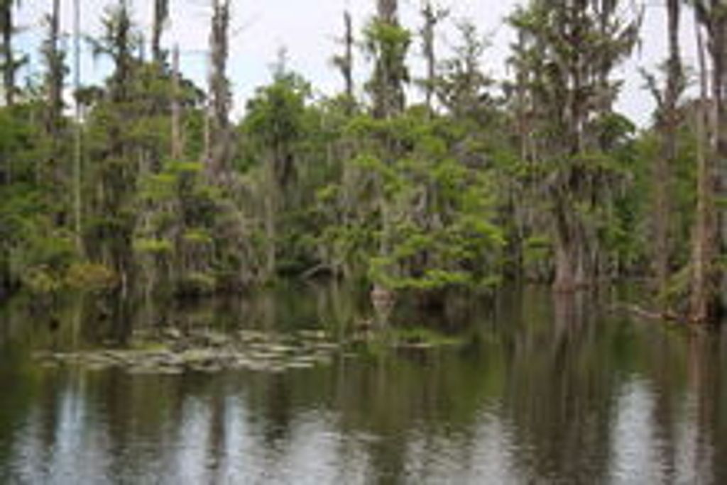 Michael Wayne Fontenot Profile Photo