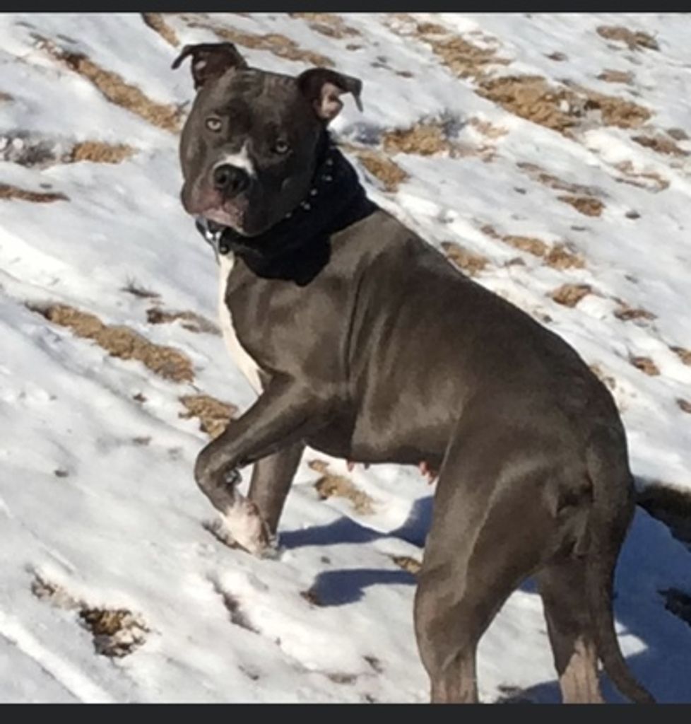 Nylah "Nana" Hamilton Profile Photo