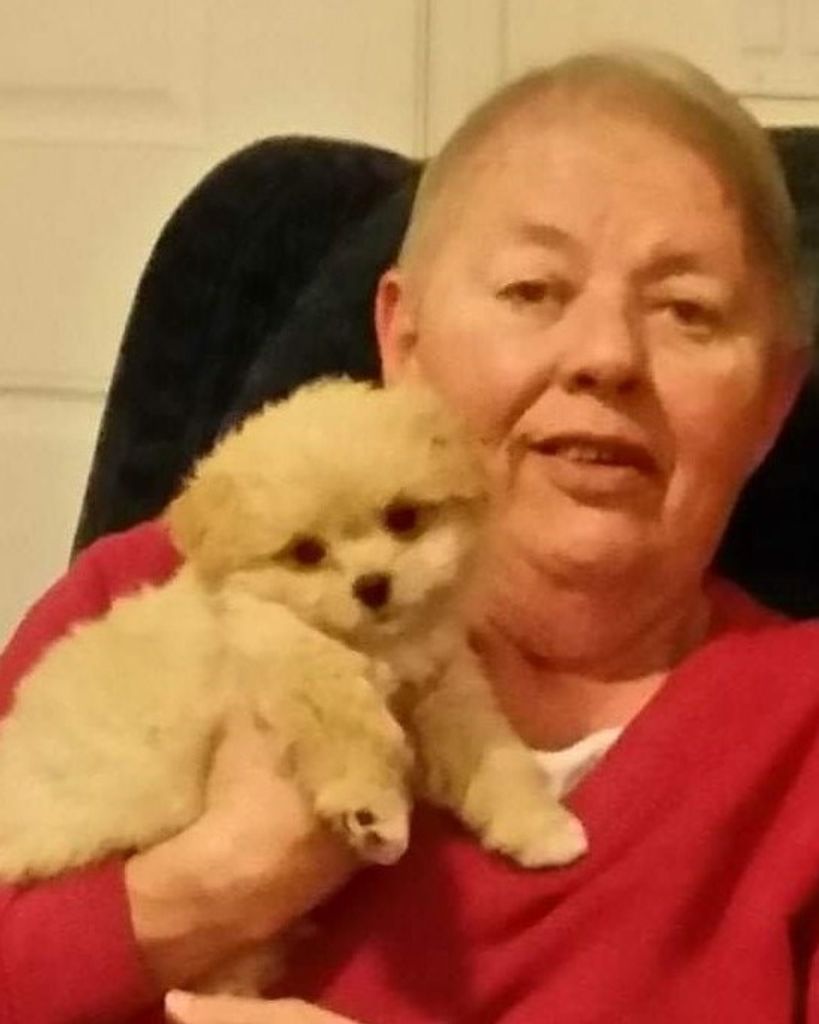 Nancy F. Chamberlain Profile Photo