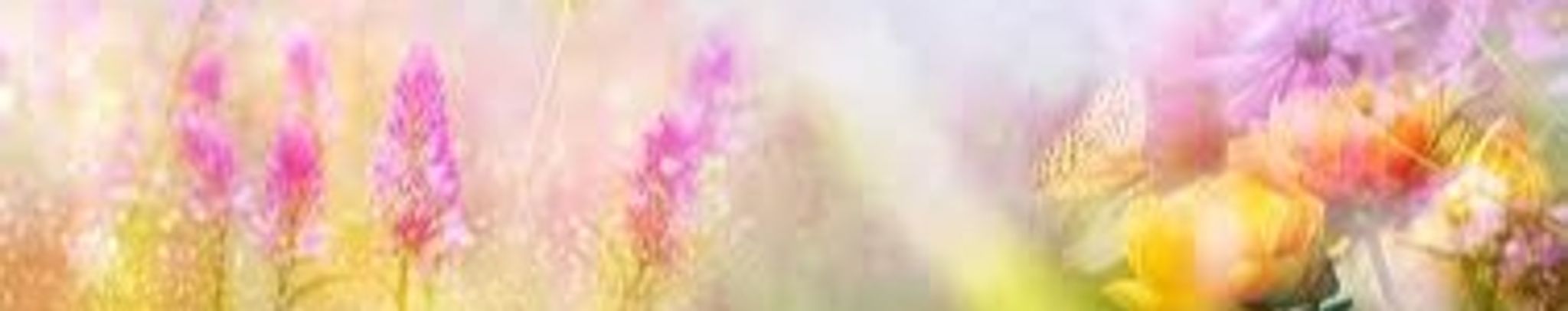 Cover for Mary Ann Kunkel's Obituary