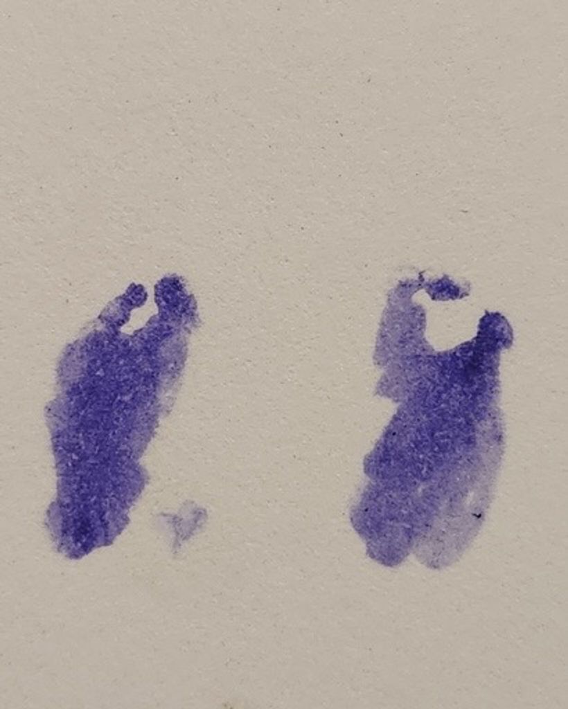 Edgar Emilio Camacho Mejia