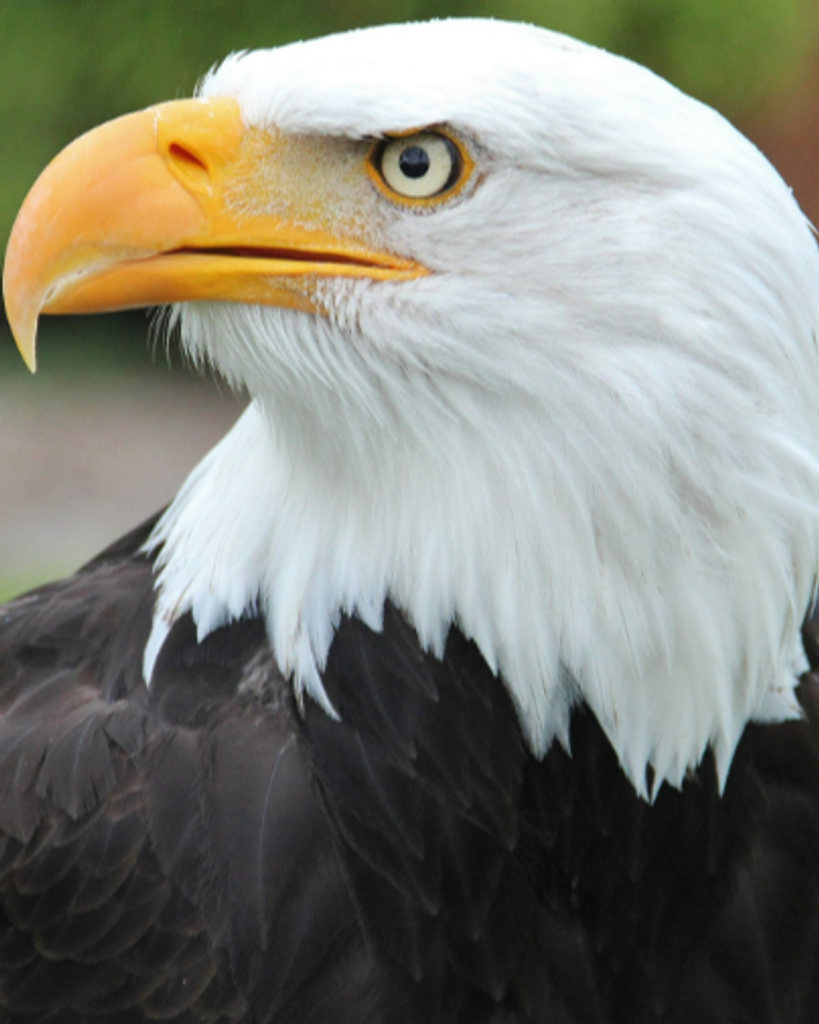 Michael Binder Profile Photo
