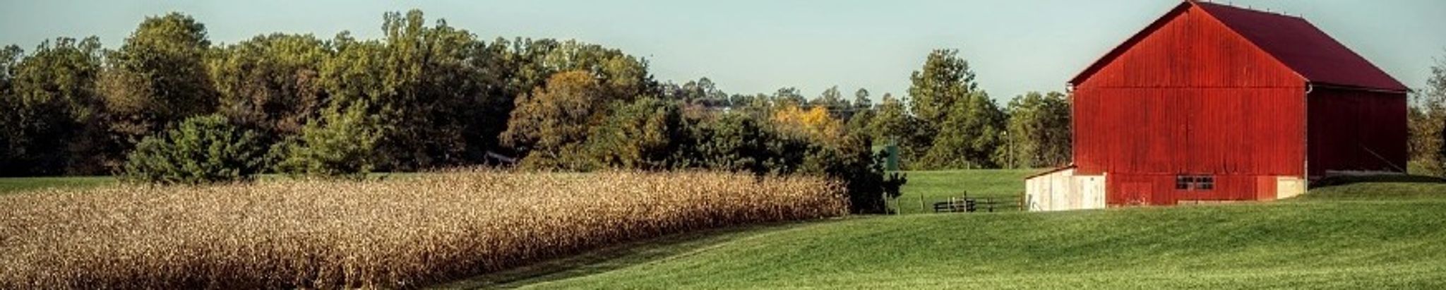 Cover for William Lee "Billy" McKinney's Obituary