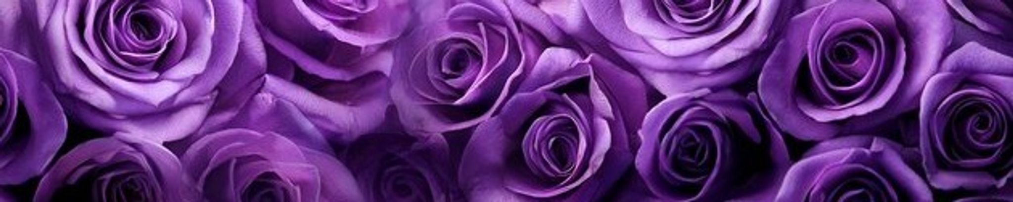 Cover for Denise Sandidge's Obituary