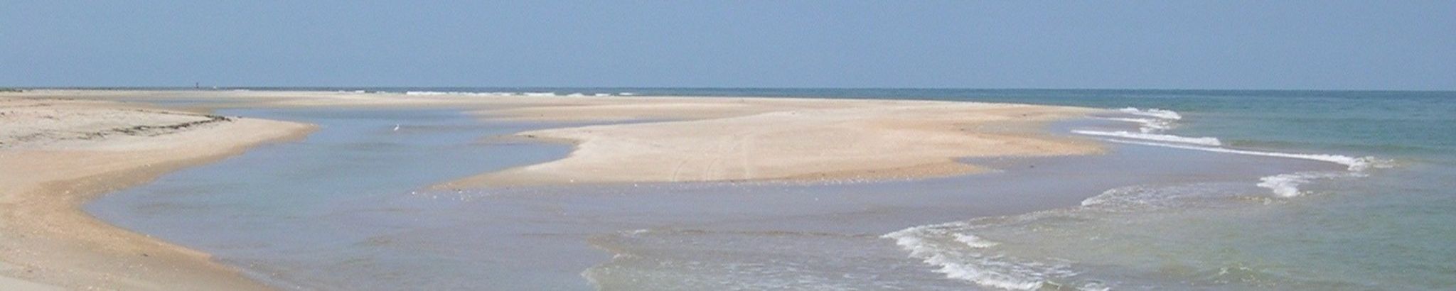 Cover for William M. Transou, Jr.'s Obituary