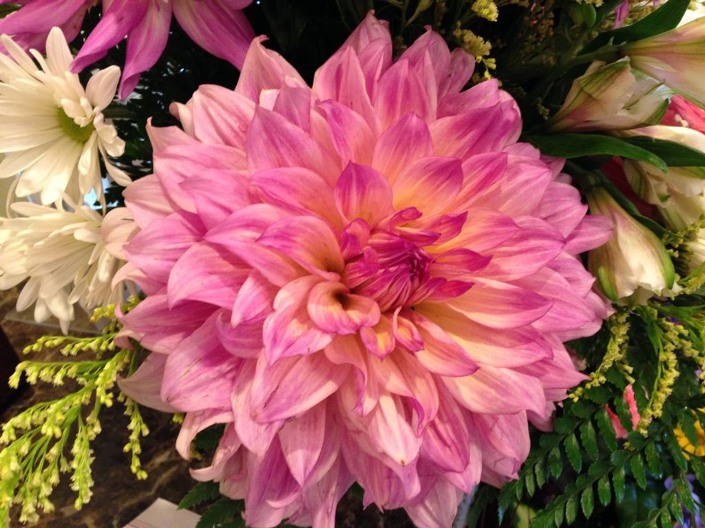 Ethel Helen (Morrison) Moore