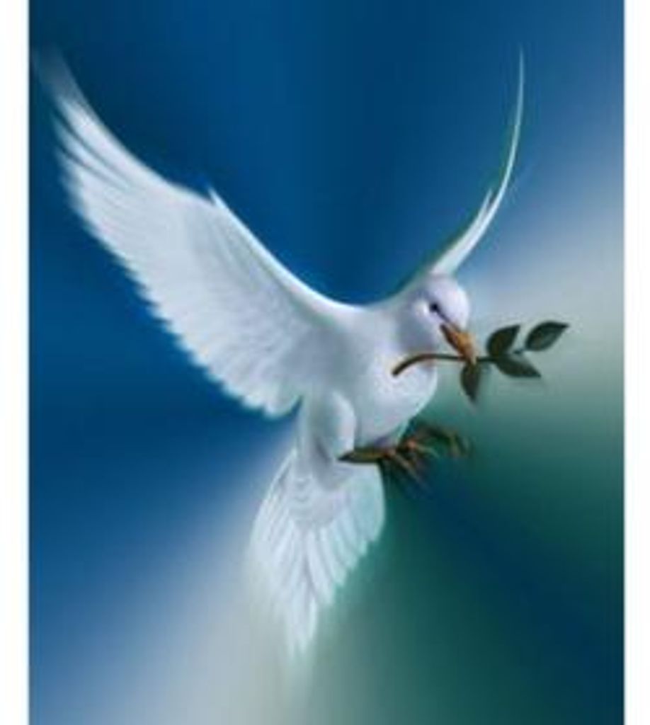 Calvin Pierce Miller