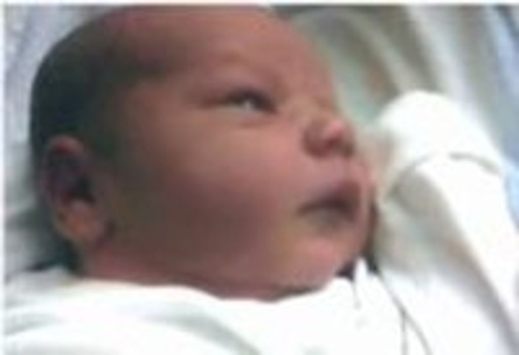 Bert Paul Estelle