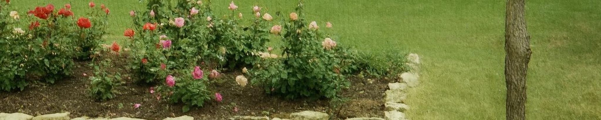 Cover for Glen David Madland's Obituary