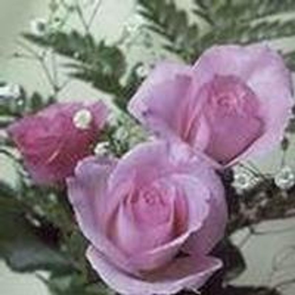 Norene Duncan