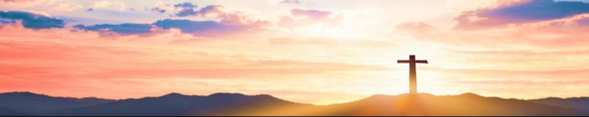 Cover photo for Kristen Marcellus O'Hara's Obituary