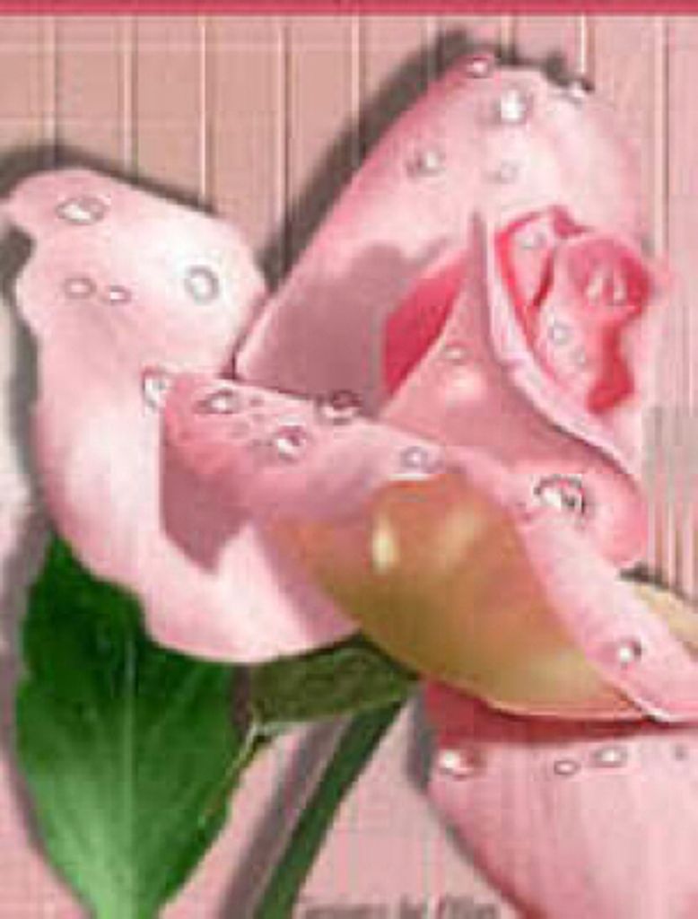 Dorothy Joanne Bailey