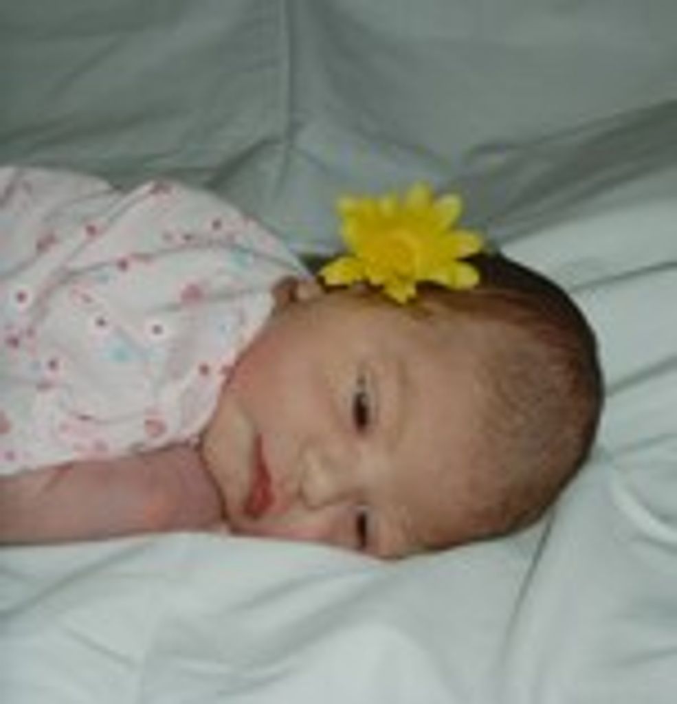 Llewellyn, Morgan G.