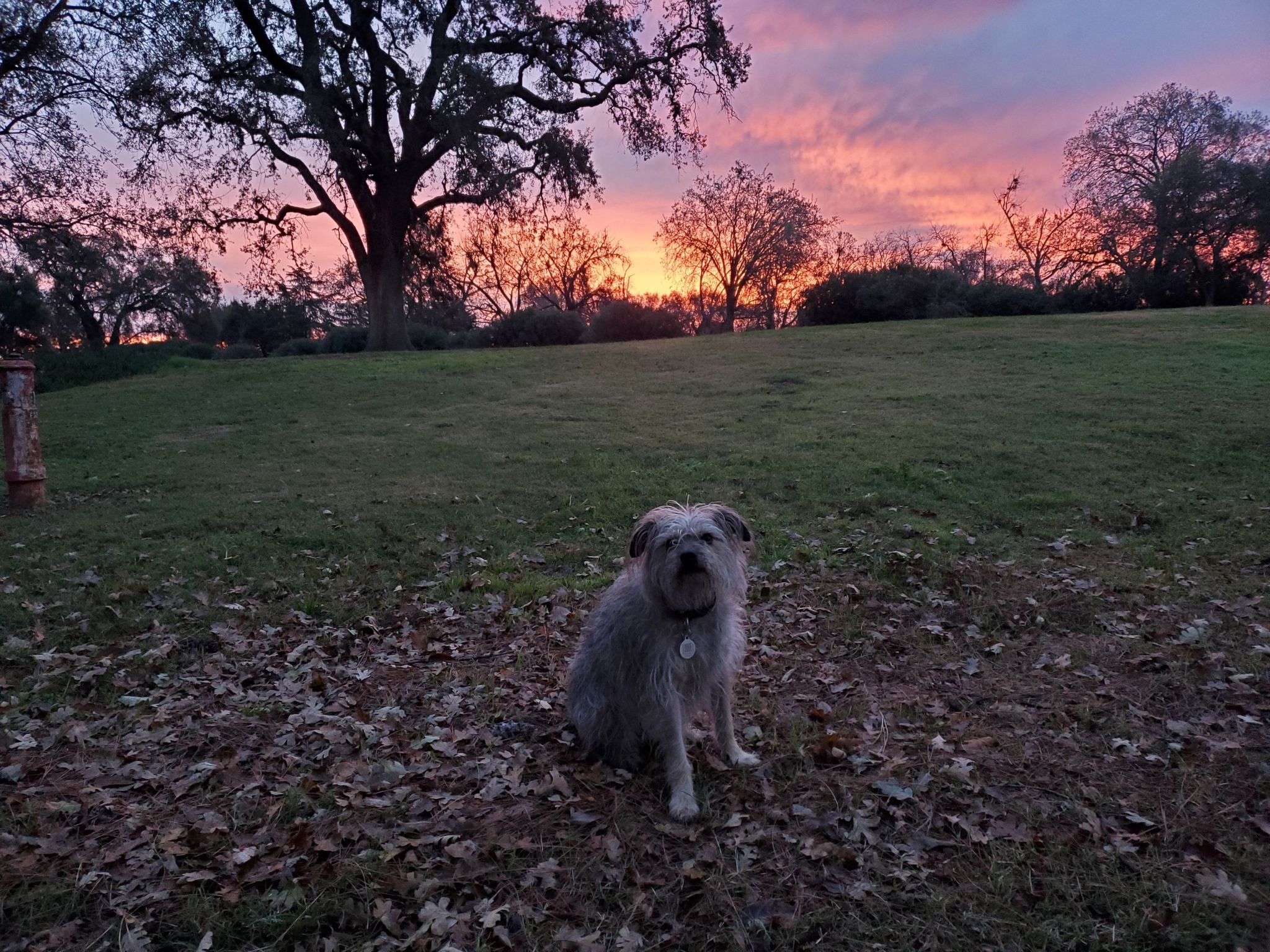 Cover photo for Spike Smith's Obituary