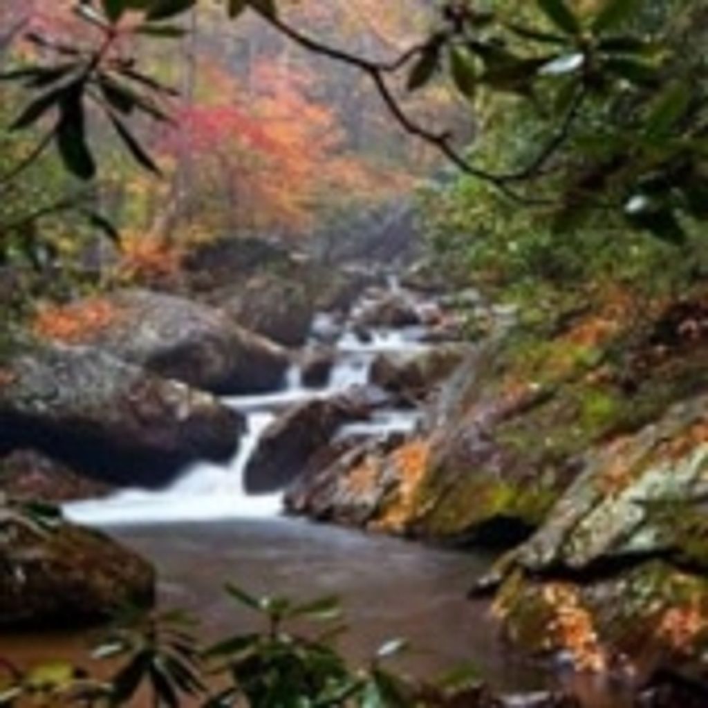 Walter Curtis Treadwell