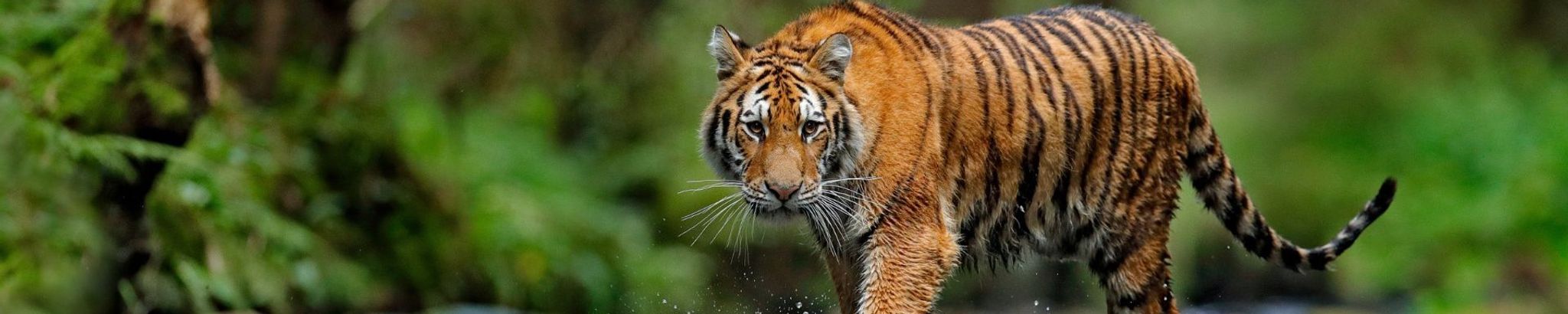 Cover for Mary Louise Matzek's Obituary