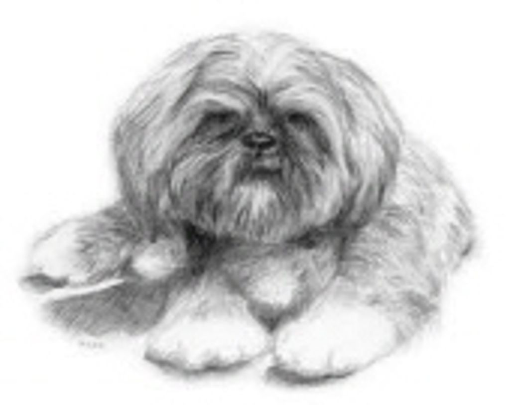 Scooby Horvath Profile Photo