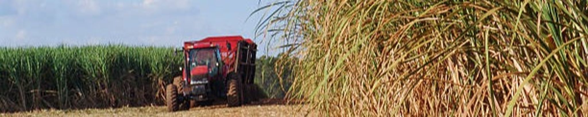 Cover for Hubert Paul Landry, Sr's Obituary