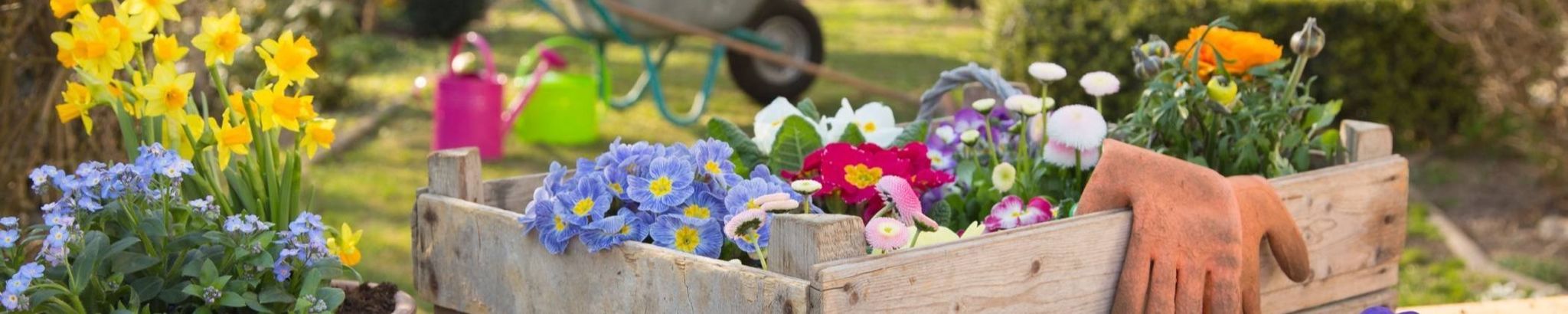 Cover photo for Hollena Clay McComas's Obituary