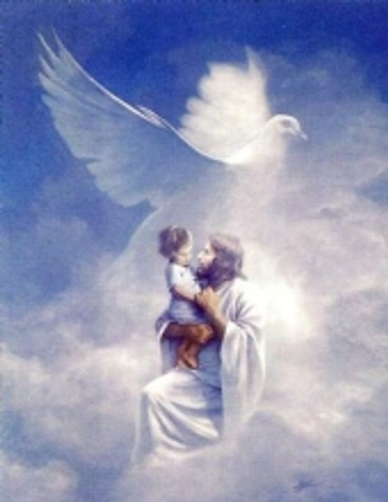 Marjorie  B. Robbins