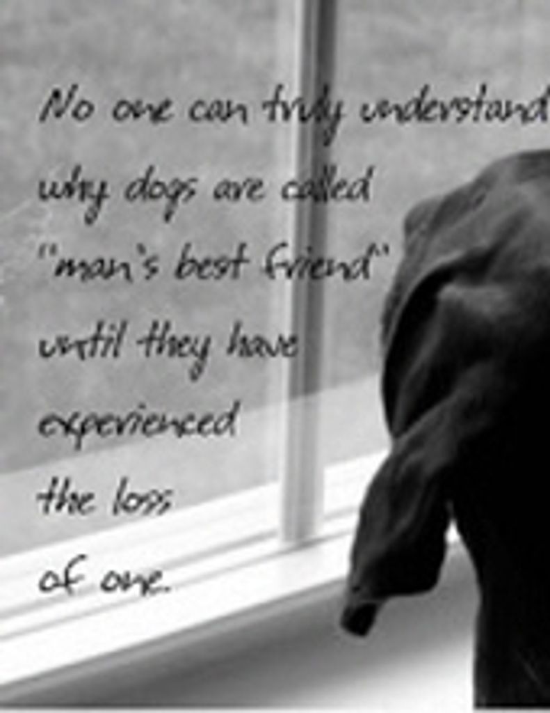 Lucy Malloy