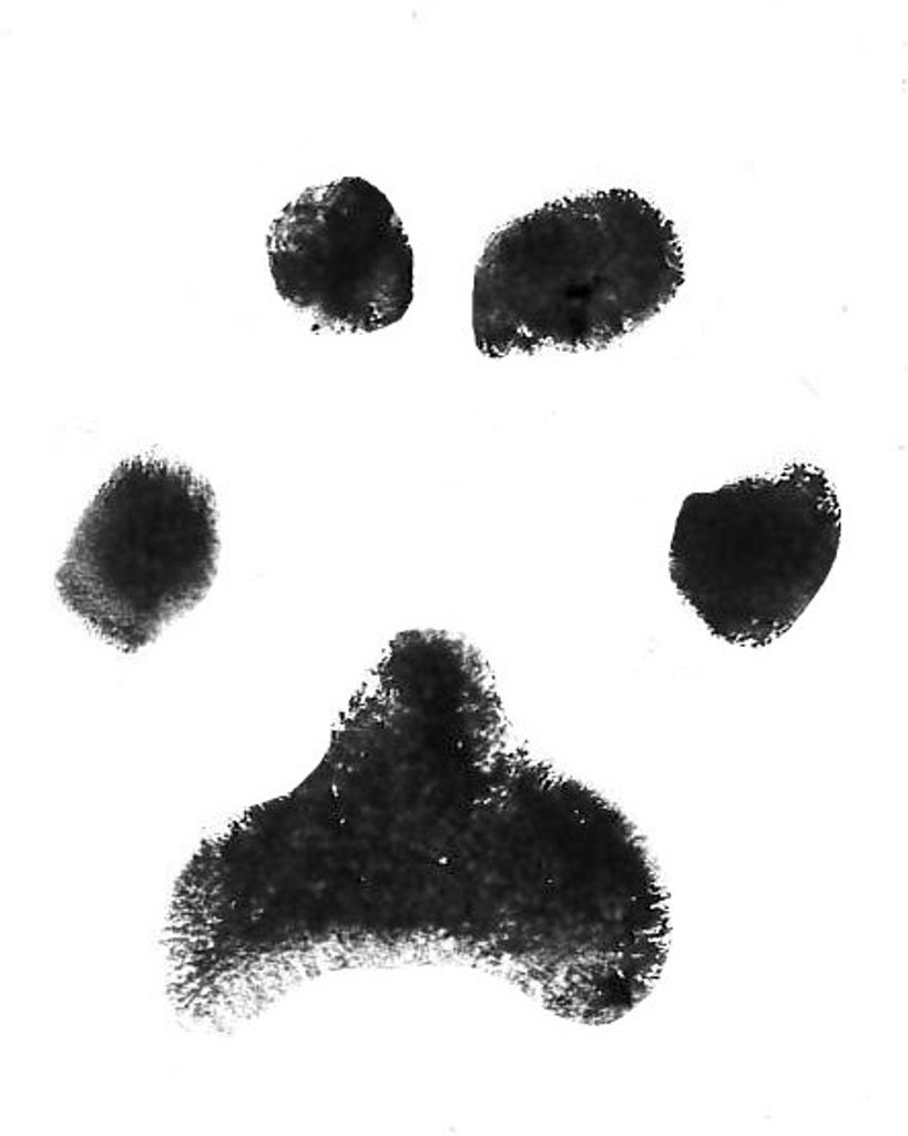 Duke Busby Profile Photo