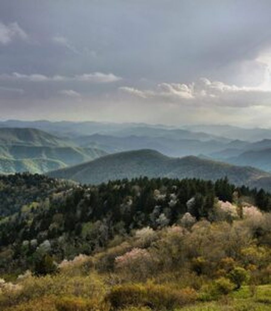 Mike Williams Profile Photo