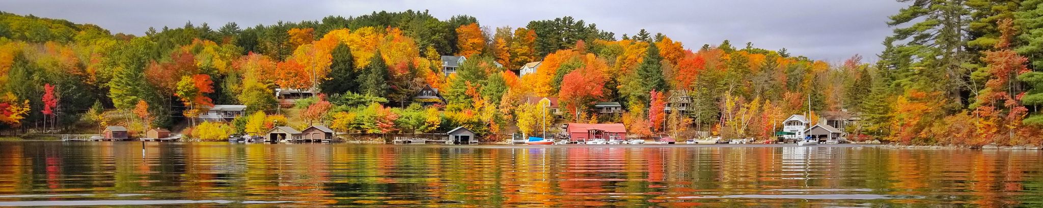 Cover for Barbara Anne Cooper's Obituary