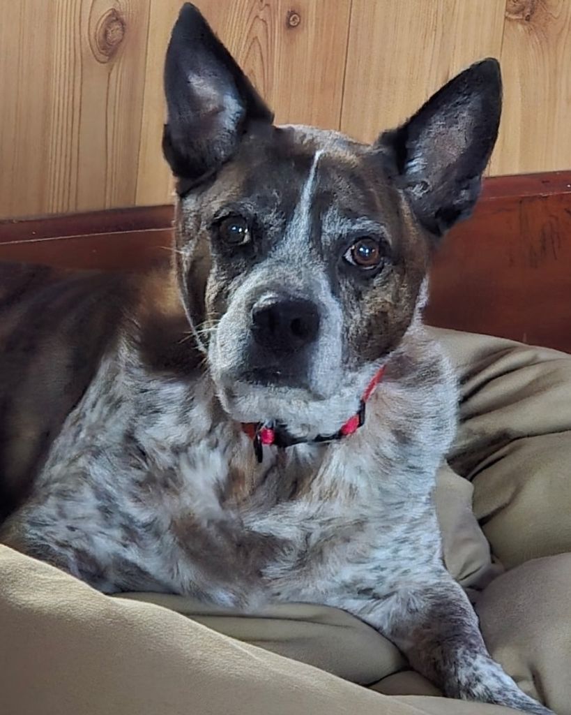 Baxter Stumpf Profile Photo
