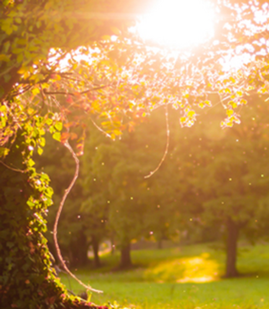 Janet Rosetta Compton