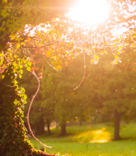 Janet Rosetta Compton Profile Photo
