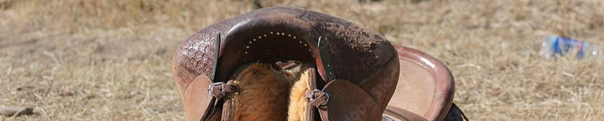 Cover photo for Dale Svoboda's Obituary