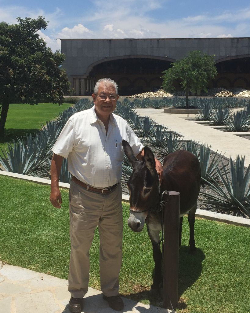 Jorge Tobias Profile Photo