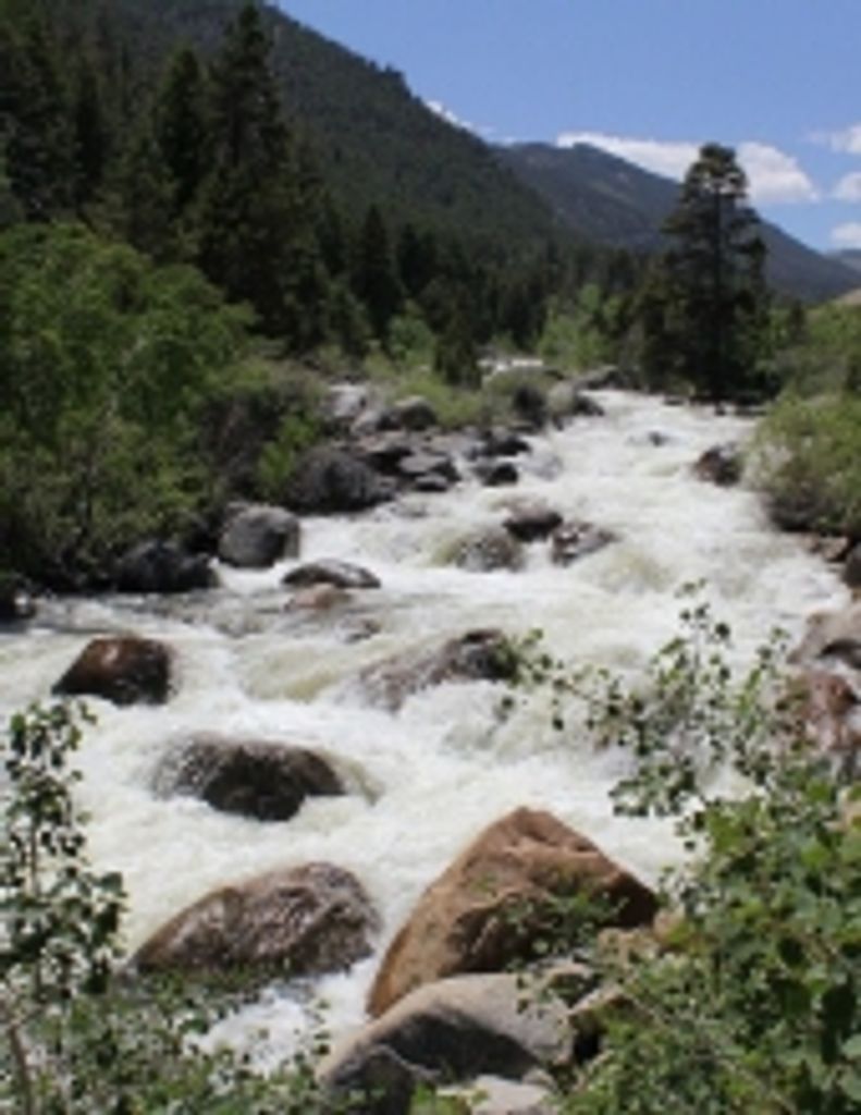 Patricia Anne Hutchings Wood Profile Photo