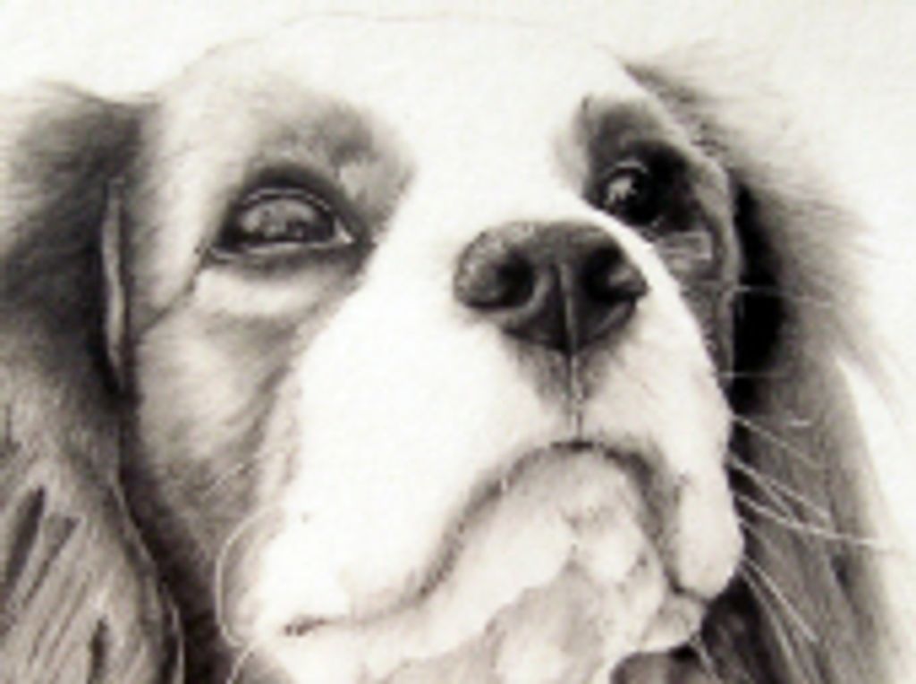 Grace Of Princess Diana Griffin Profile Photo