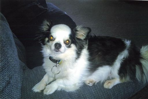 Floyd "Wolfie" E. Wolfe photo gallery thumbnail 77 of 79