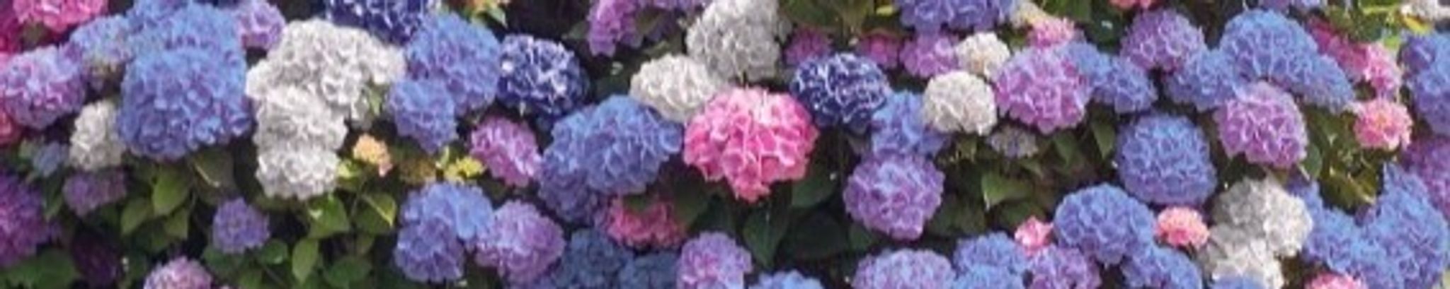 Cover photo for Tia Price Eddins's Obituary