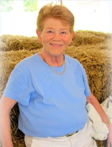 Marie C. (Connolly)  Ballezzi Profile Photo