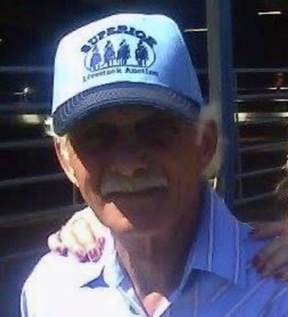 Modestino Allen "Al" Romano Profile Photo