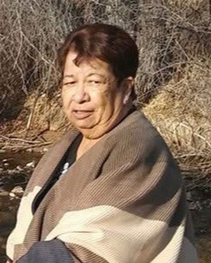 Dolores Castillo Saavedra
