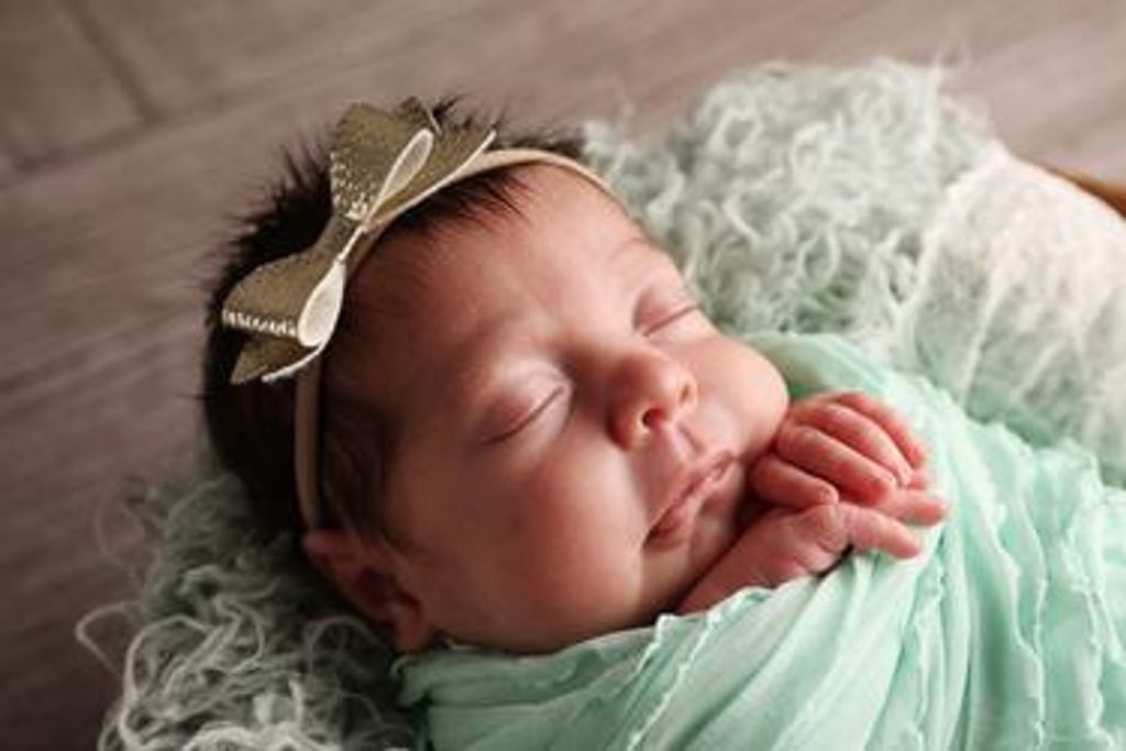 Shaelyn Reese Brandt Profile Photo