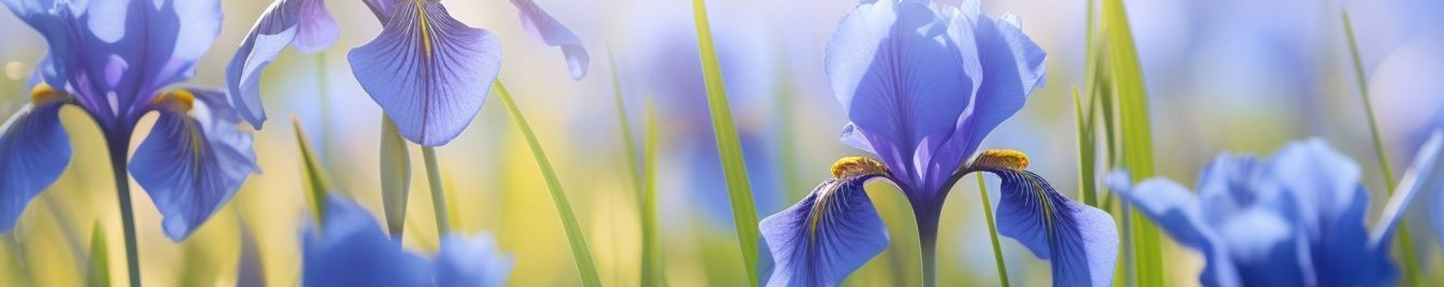 Cover photo for Sonja Dunn's Obituary