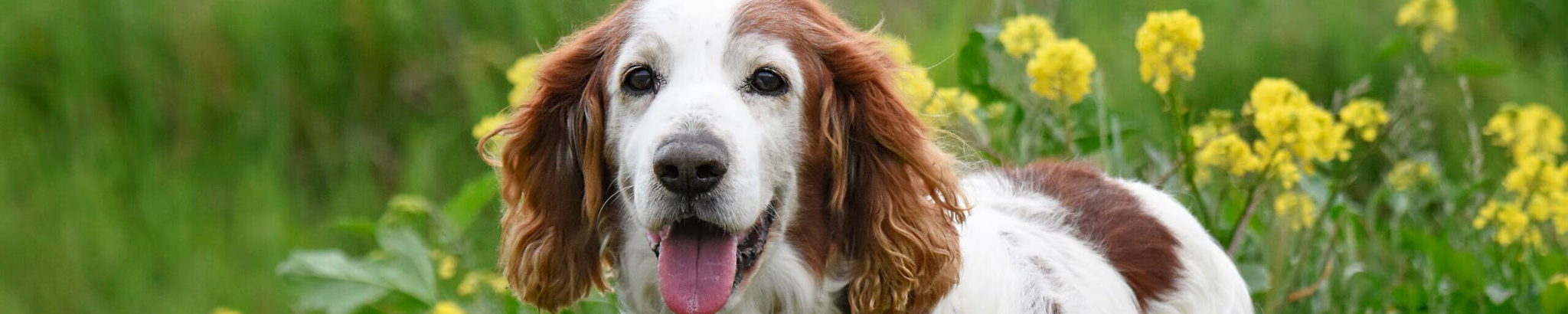 Cover for Margaret Becker's Obituary